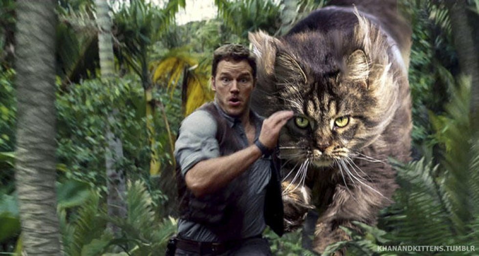 Sådan ser Jurassic Park ud, hvis man skifter dinosaurer ud med katte