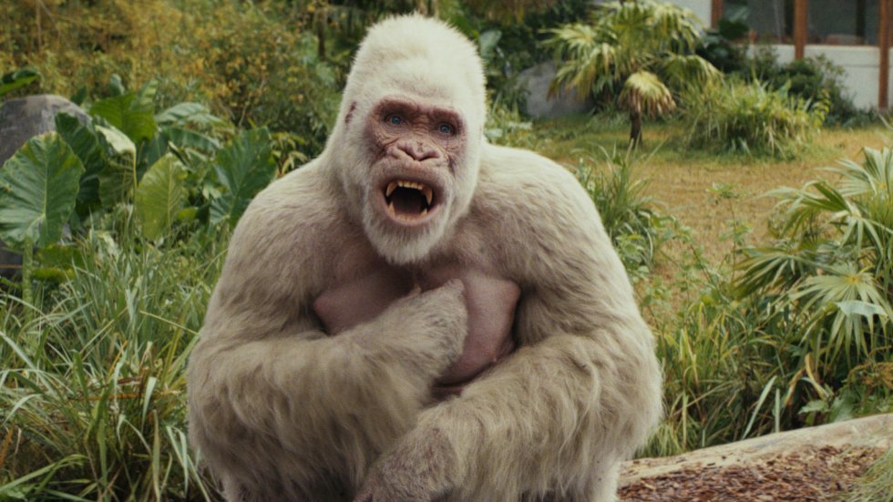 Warner Bros. Pictures - Rampage Out of Control [Anmeldelse]