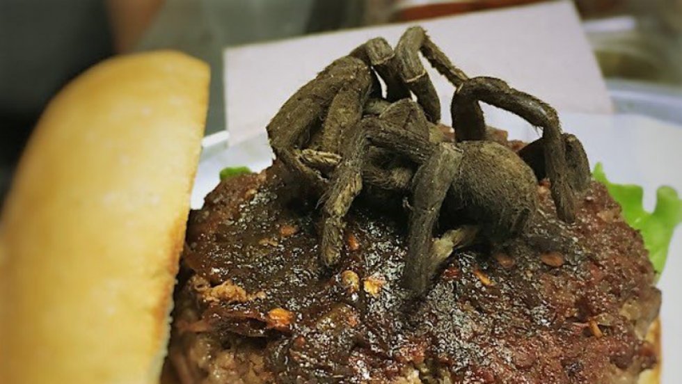 Nu kan du få en friteret edderkop i din burger i North Carolina, USA