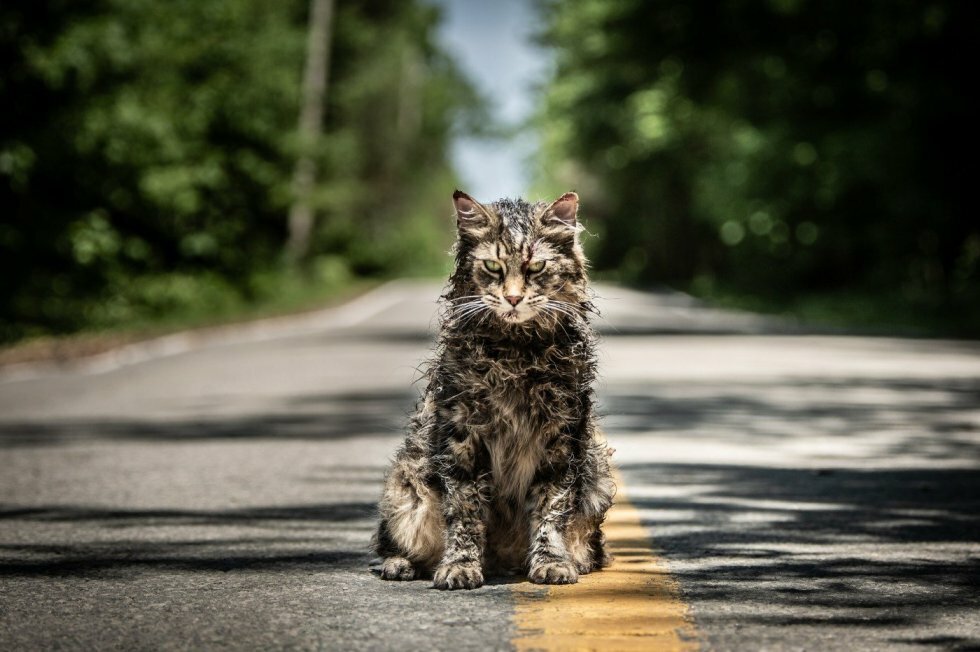 United International Pictures - Pet Sematary [Anmeldelse]