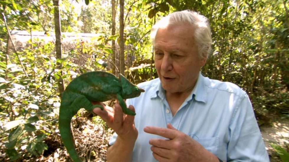Sir David Attenborough slår verdensrekord for hurtigst at opnå 1 million følgere på Instagram