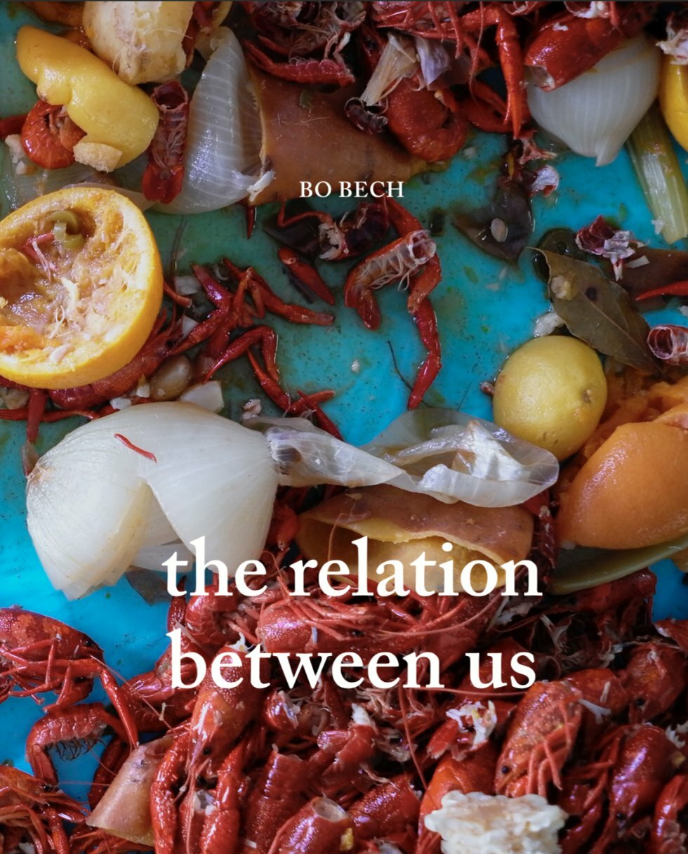 The Relations Between Us.  - Bo Bech afslutter bog-trilogi med en tour de force i visuel storytelling gennem sin personlige fotodagbog