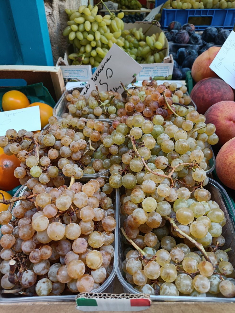 Lokale Bellone-druer. - Rejse-reportage: Kulinarisk roadtrip i Lazio-regionen i Italien