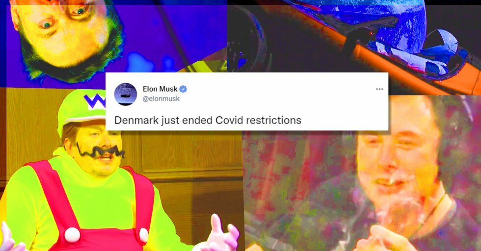 Elon Musk sætter Twitter gang i Twitterbølge af misundelse over Danmarks ophævede coronarestriktioner