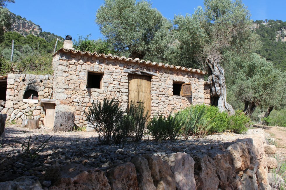 Tasting-hytten midt i Son Moragues.  - Turen går til Mallorca: 2-dages eventyr uden charter