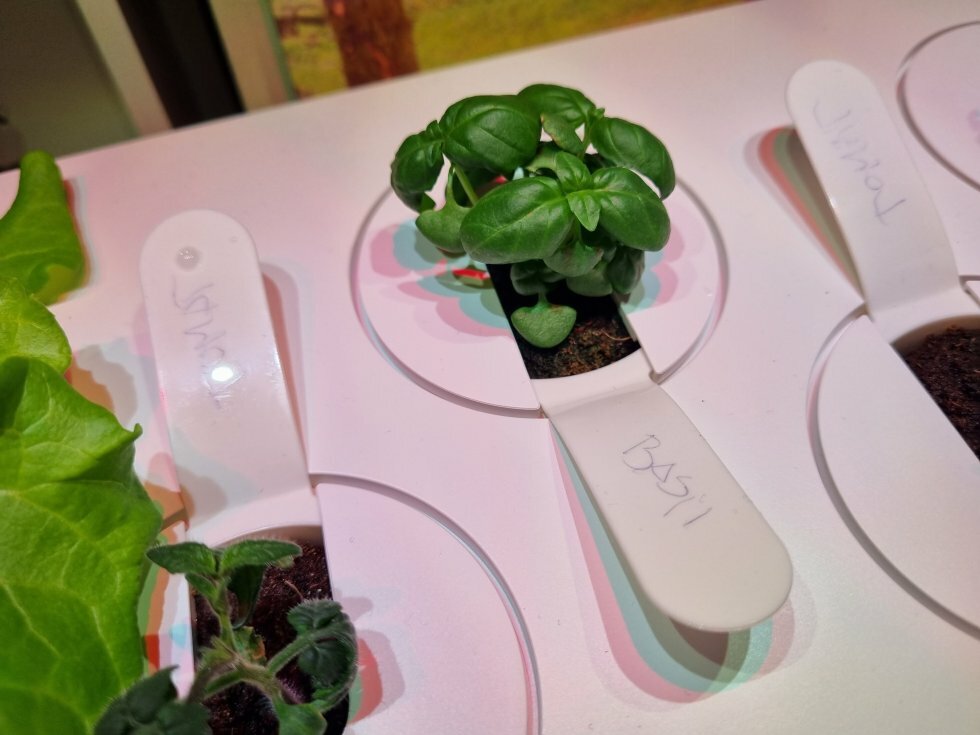 Test: Click and Grow 9 Pro Smart Garden