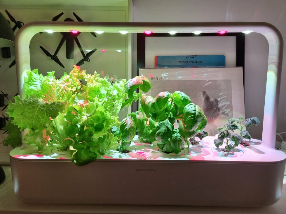 Efter 4 ugers vækst - Test: Click and Grow 9 Pro Smart Garden