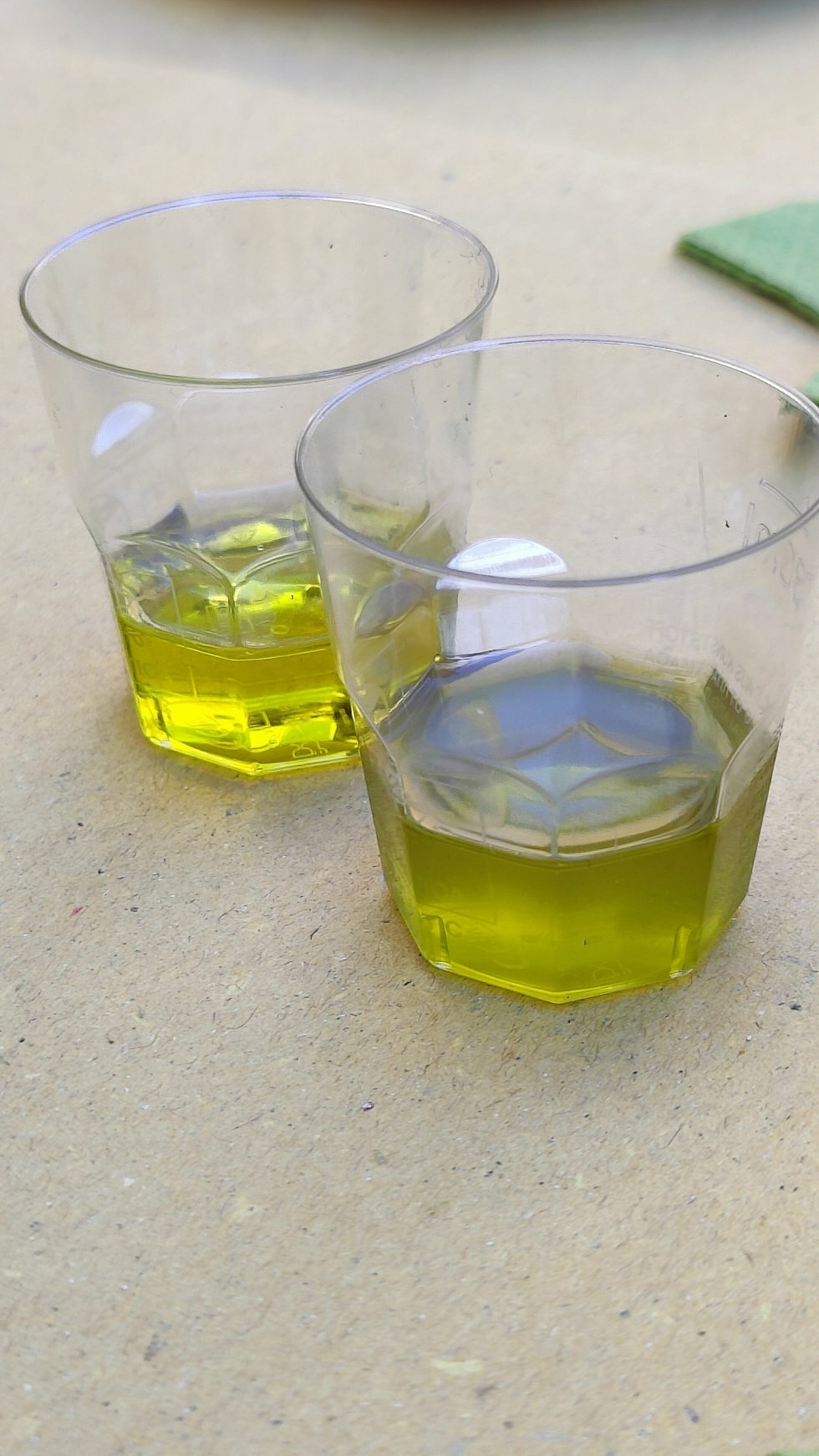 Forskel på frisk og ældre olivenolie (mørke, ufiltreret farve er tappet for en uge siden). - Rejsereportage: Det kystvendte Toscana