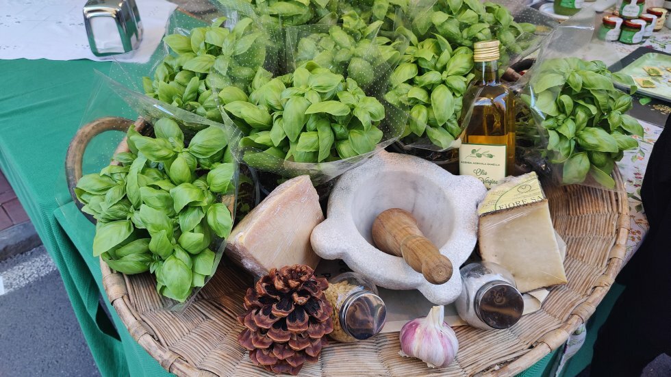 Pesto-magi! - Rejsereportage: Ligurien - hjertet af Italiens olivenolie-region