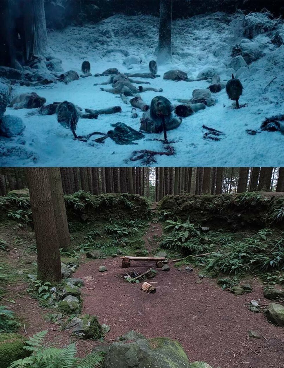 Øverst, Game of Thrones, S1 - HBO - Nederst: Tollymore Forest-lokation IRL - Rejseguide: Nordirland den ultimative Game of Thrones-destination