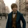 Fantastic Beasts and Where to Find Them - Teaser Trailer [HD] - Trailer for 'Fantastic Beasts and Where to Find Them'