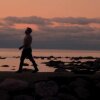Bam Margera: Evesdroppers - Comin Home (Official Video) - Bam Margera viser sit vanvittige liv i ny musikvideo