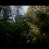 Pee-Wee's Big Adventure Trailer - Tim Burton