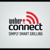 Weber Connect Smart Grilling Hub - Weber Connect Smart Grilling Hub: Vi har kigget nærmere på Webers trådløse WiFi grilltermometer 