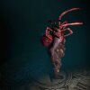 Diablo IV Quarterly Update?June 2021: Spider Host Video - Diablo 4 tager dine edderkoppemareridt til næste niveau