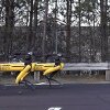 Mush, Spot, Mush! - Boston Dynamics robotten spotmini trækker lastbiler [Video]