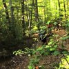 DTV Shredder - Forest Riding at Pastranaland - DTV Shredder - din personlige motorcross-tank