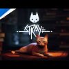 Stray - State of Play June 2022 Trailer | PS5 & PS4 Games - Kattespillet Stray udkommer om lidt