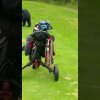 Bear Interrupts a Game of Golf in Anchorage, Alaska - Sortbjørn afbryder to mænds golfspil for at stjæle golfflag og sandwich [Video]