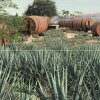 Tequila, Jalisco, Mexico - vlog - Drømmedruk: Bo i en mexicansk tequila-tønde