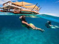 Drømmedestinationer #1: Flydende bar på Fiji