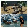 #JurassicZoo: Chris Pratt har fået sit eget meme