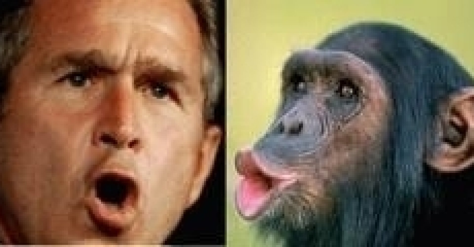 Джордж Буш обезьяна