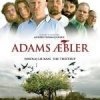 Adams Æbler