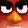 Angry Birds kommer snart til en biograf nær dig!