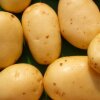 Bagt kartoffel med oksekød