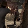 ign.com - Red Dead Redemption: Undead Nightmare