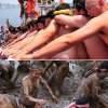 Nøgen mudder wrestling... Why no women! - Shop gratis nøgen for 2.000 kr.