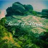 Band of Horses - Mirage Rock [Anmeldelse]