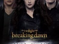 Twilight: Breaking Down