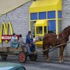 "Tre cheese og en cola til hesten" - Only in Russia... [Galleri]