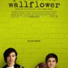 Summit Entertainment - The Perks of Being a Wallflower [Anmeldelse]