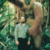 Gigantopithecus - Kongerne af uddøde dyrearter