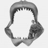 Megalodon-hajen - Kongerne af uddøde dyrearter
