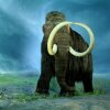 Mammutten  - Kongerne af uddøde dyrearter