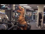 Tjek den her fitnesspige der klæder sig ud som en T-rex for at pumpe arme.