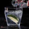 @Chowtastic.com - Lider du af høfeber? Forskerne siger: drop øllet og kurér dig selv med en Gin & Tonic