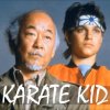 Det originale cast fra Karate Kid vender tilbage i en ny serie