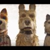 Isle of Dogs: Wes Anderson er tilbage med ny stopmotion-film