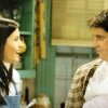 Overbevisende fanteori påstår, at Monica og Joey var stofmisbrugere i Venner