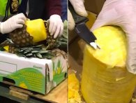 Spansk politi finder 720 kg kokain gemt i udhulede ananas