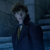 Er du gået glip af traileren Fantastic Beast: The Crimes of Grindelwald?