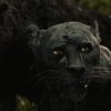 Her er traileren til Andy Serkis' Mowgli-film
