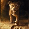 Se den nye Simba i første trailer til Løvernes Konge