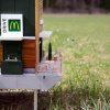Svenskerne har bygget verdens mindste McDonald's - til bier!