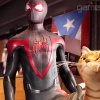 Miles Morales Spider-Man leger med katte